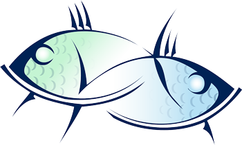 2 fish, drawn